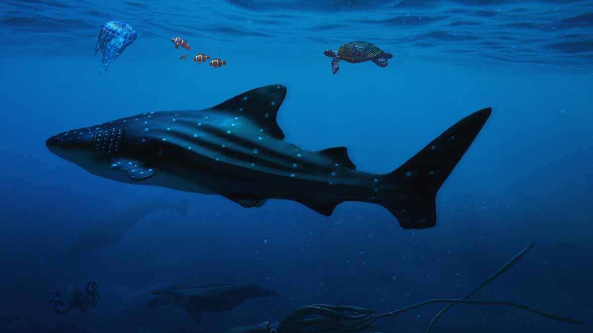 underwater photo illustration