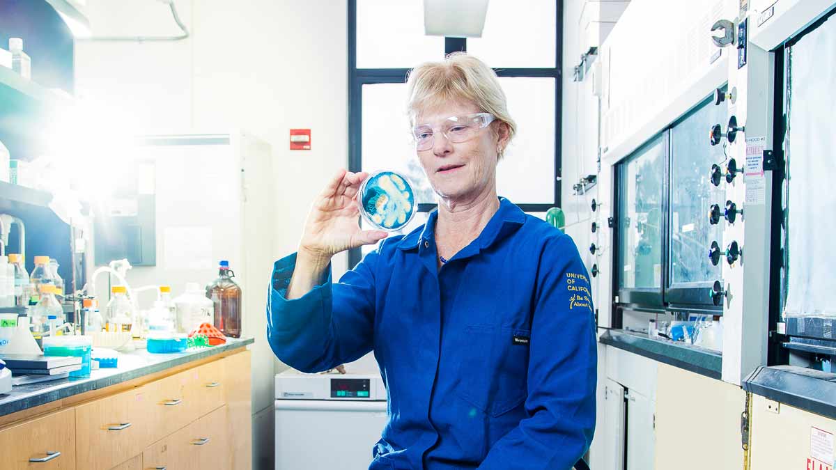 Alison Butler in her lab
