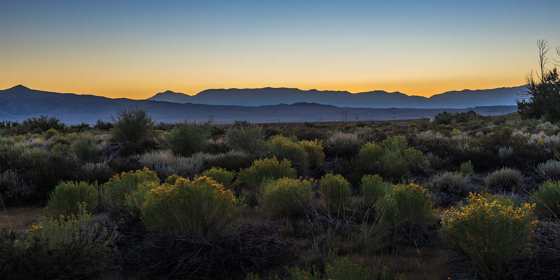 Sunrise of a sagebrush landscape