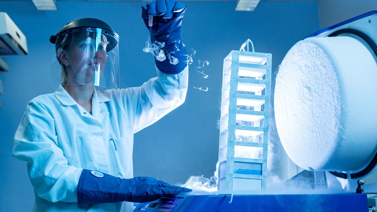 A scientist pulls frozen stem cells from a liquid nitrogen cooler