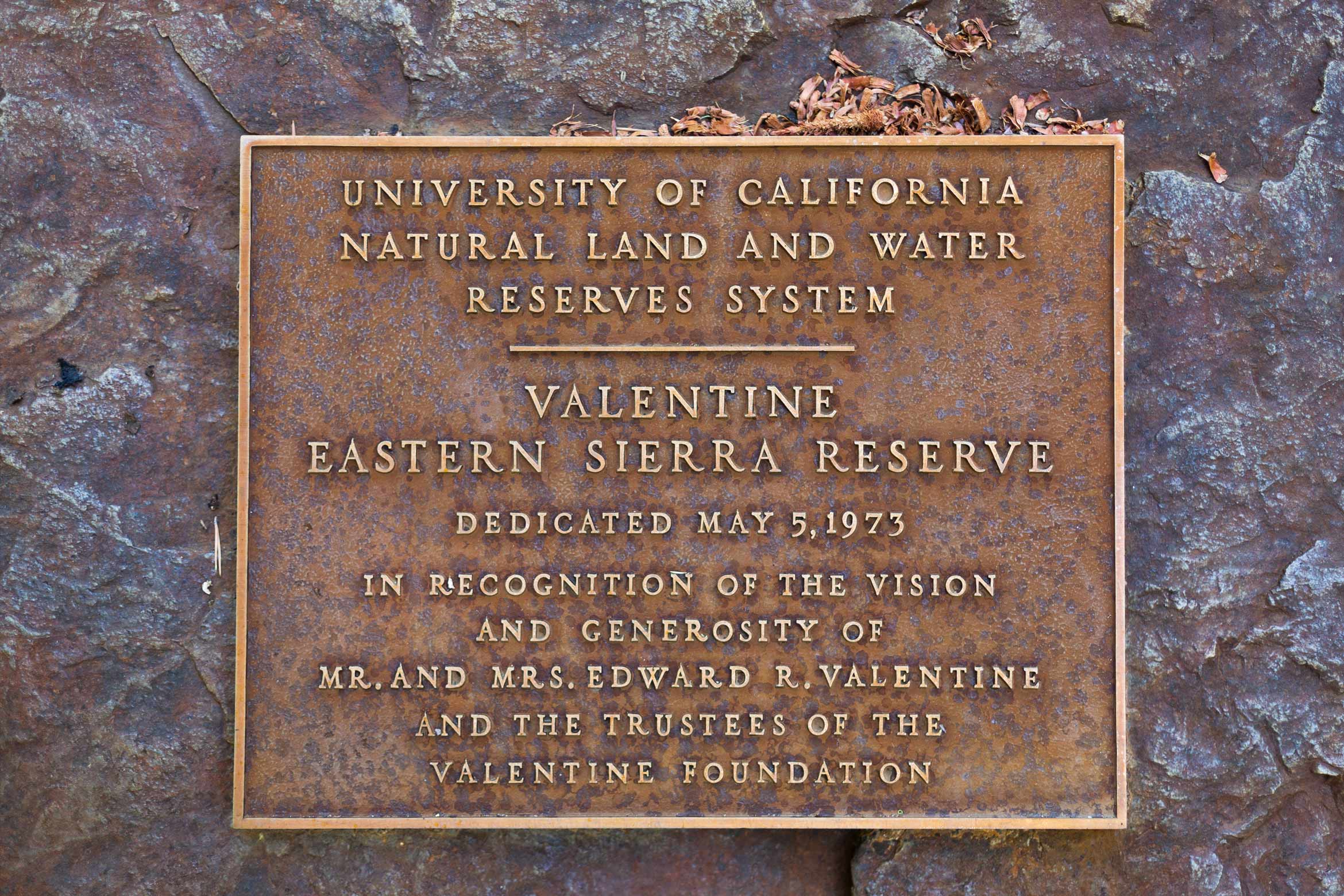 Valentine dedication plaque
