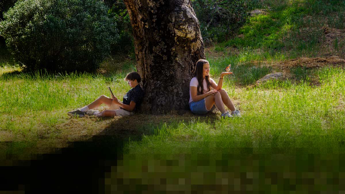 two children sitting against a tree; one with tablet and one with butterfly